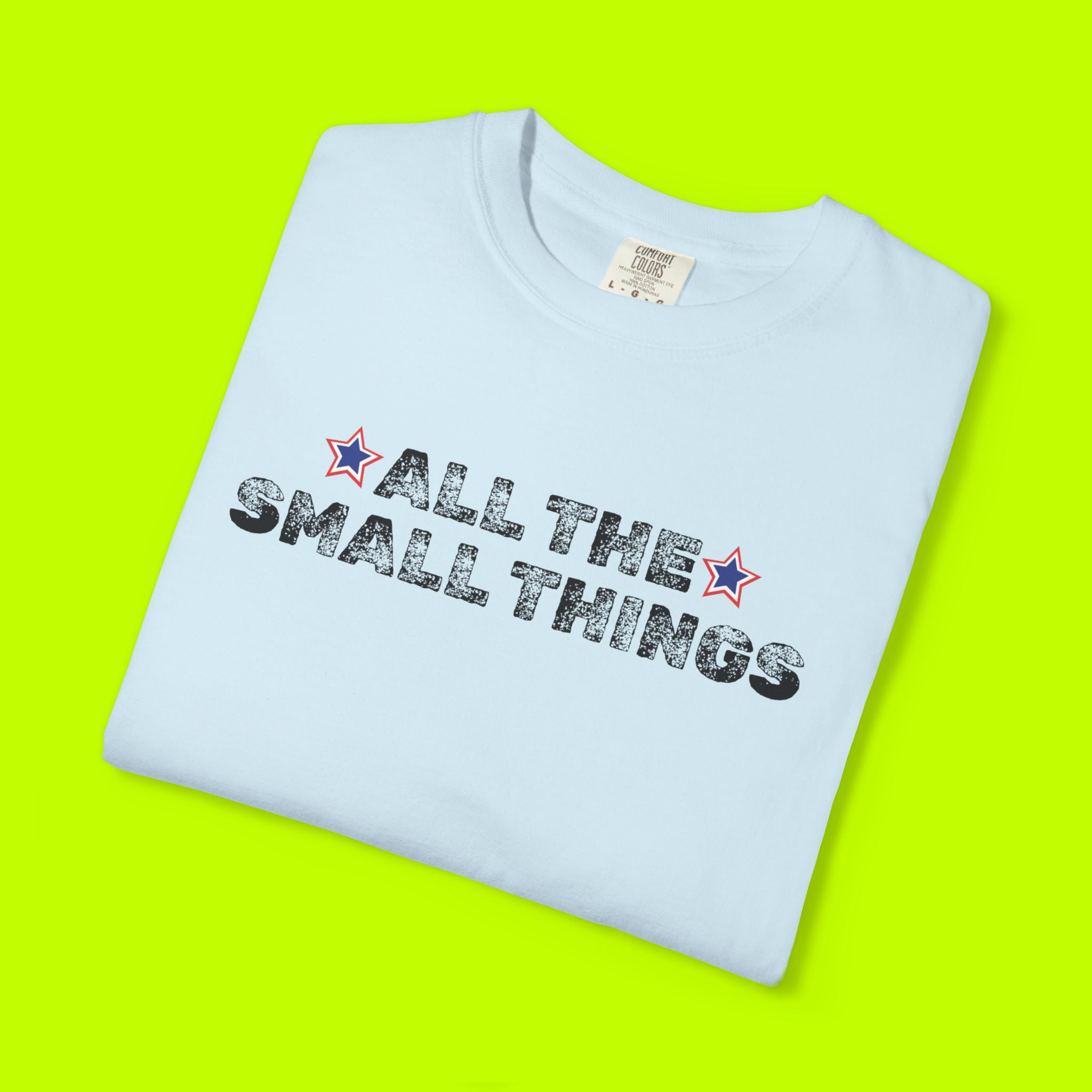Vintage Style Band Tee, All the Small Things