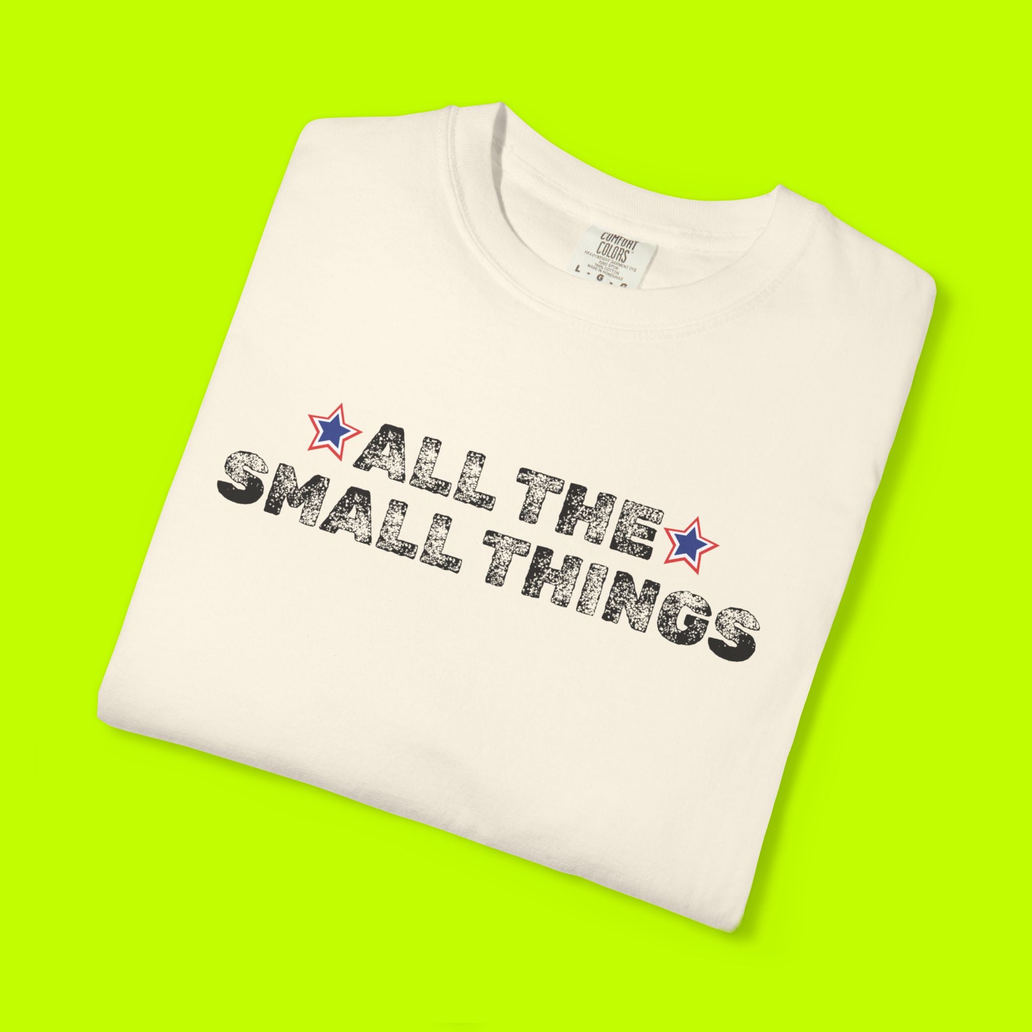 Vintage Style Band Tee, All the Small Things