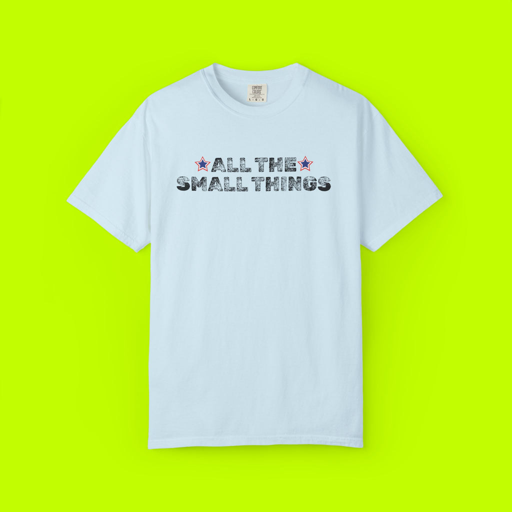 Vintage Style Band Tee, All the Small Things