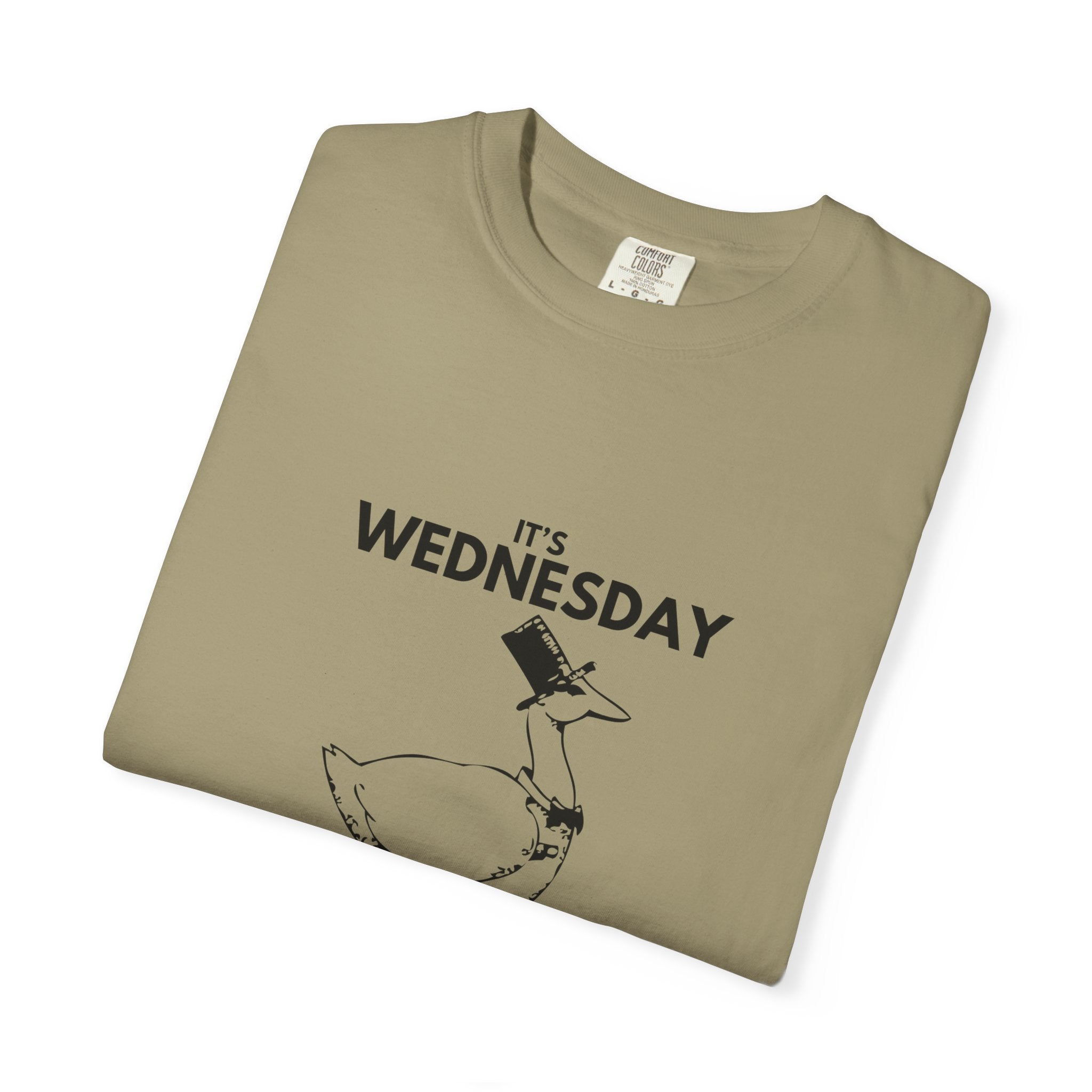 Modern Vintage Style, Graphic tee, Silly Goose