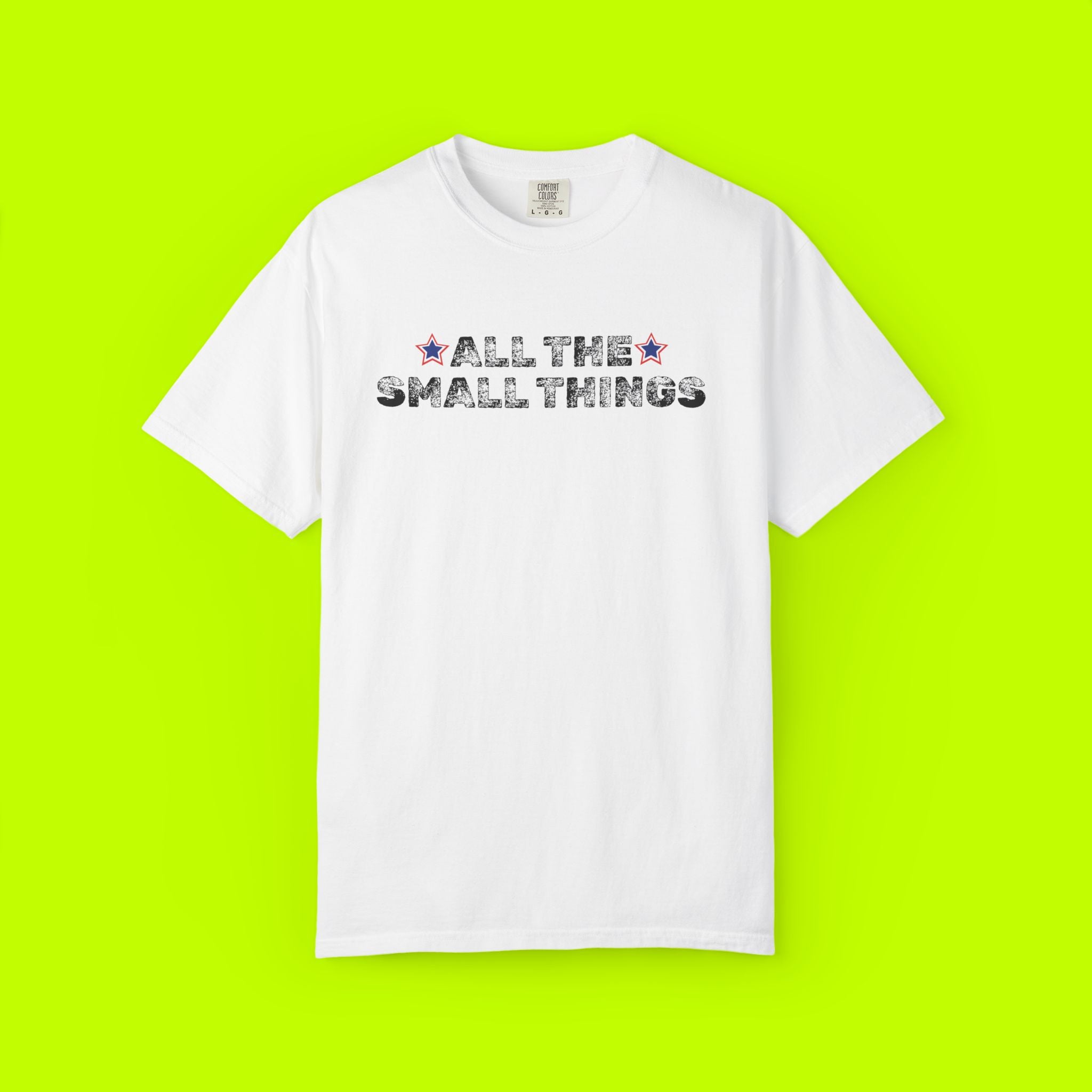 Vintage Style Band Tee, All the Small Things