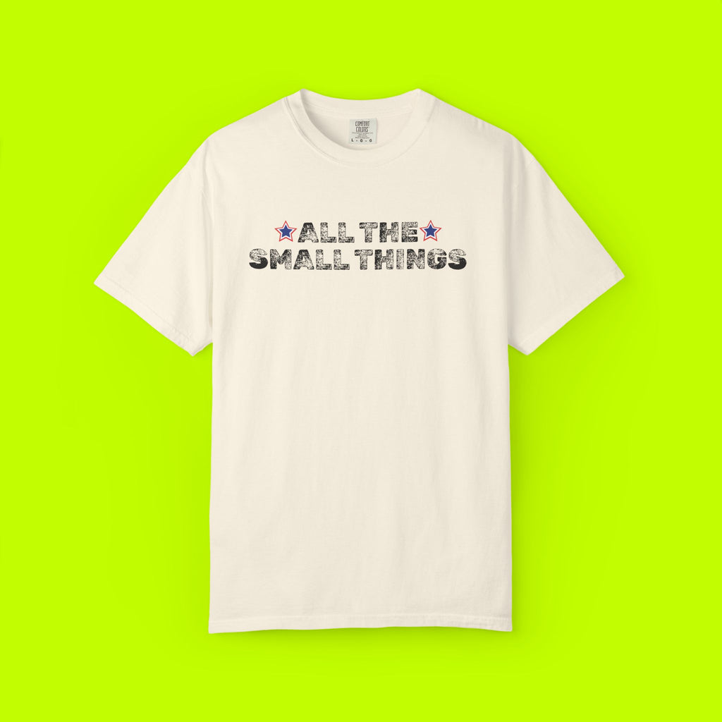 Vintage Style Band Tee, All the Small Things
