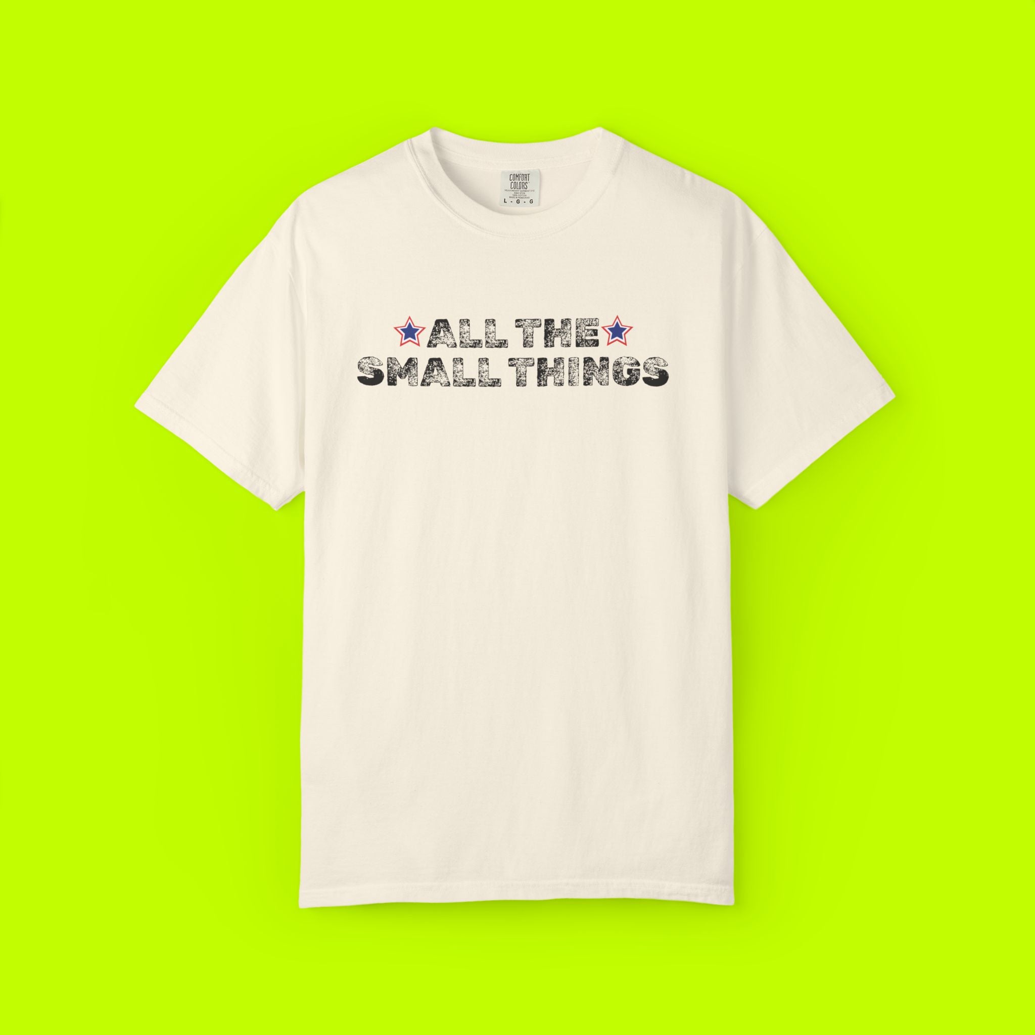 Vintage Style Band Tee, All the Small Things
