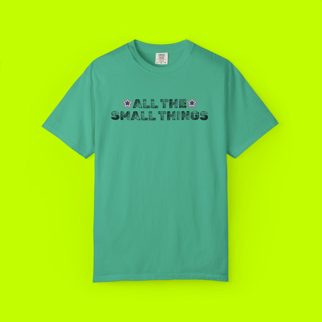 Vintage Style Band Tee, All the Small Things