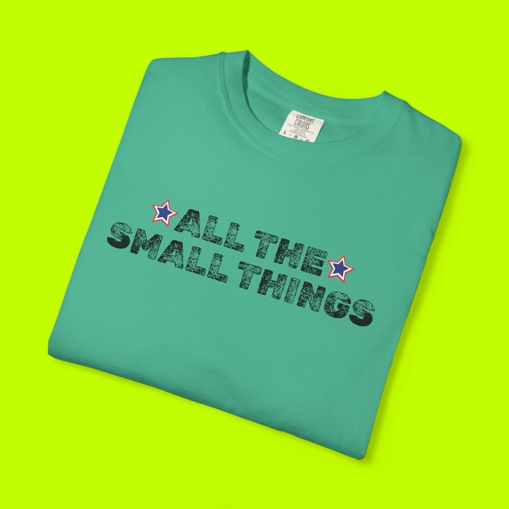Vintage Style Band Tee, All the Small Things