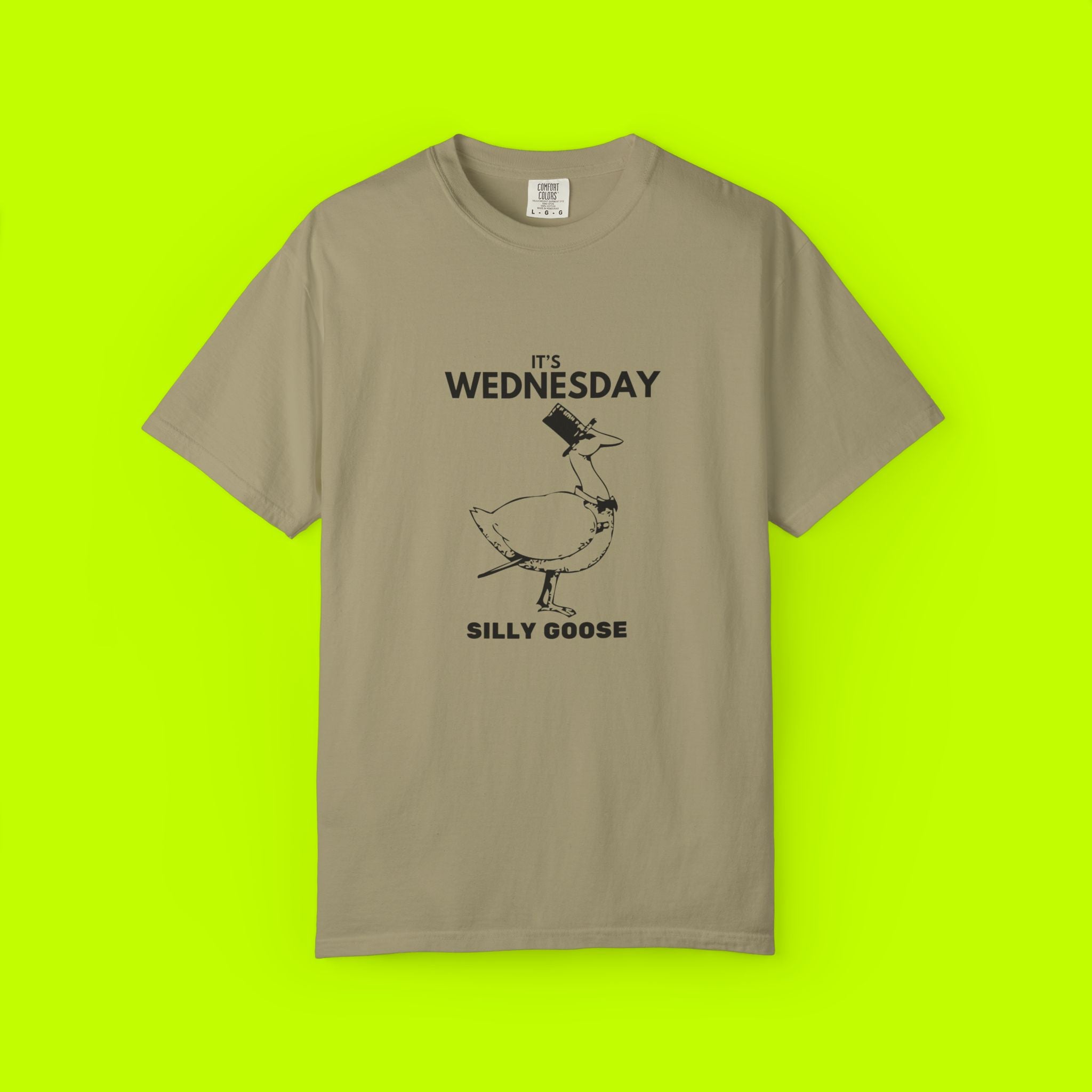Modern Vintage Style, Graphic tee, Silly Goose