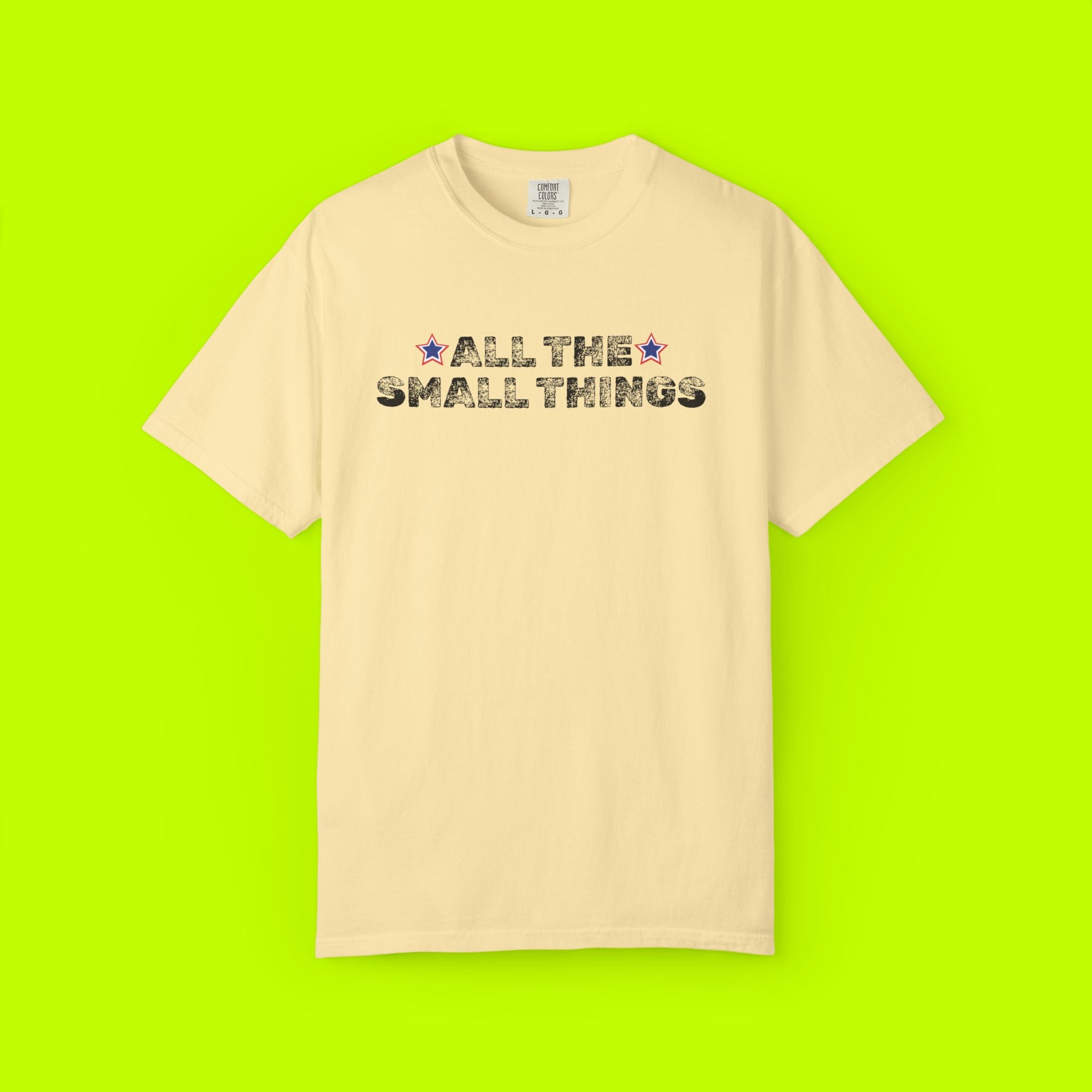 Vintage Style Band Tee, All the Small Things
